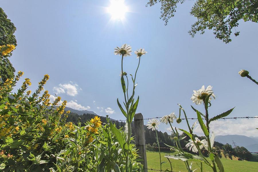 Ferienwohnung Schwalbenwandblick Saalfelden Exterior photo